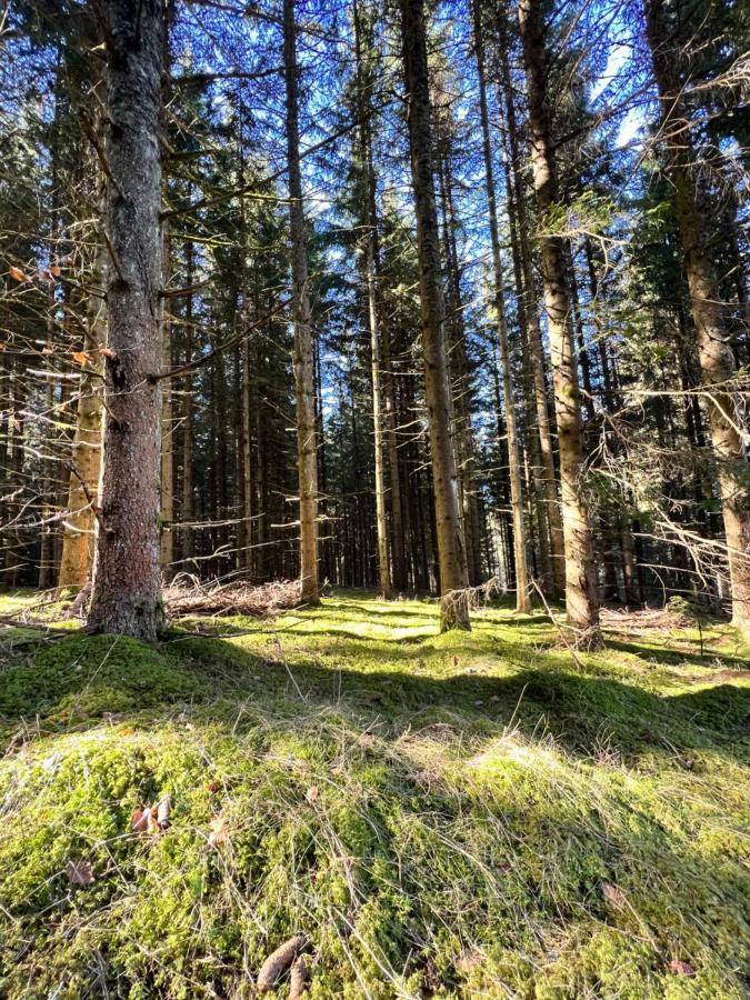 Haus Im Schwarzwald Villa Lenzkirch Ngoại thất bức ảnh