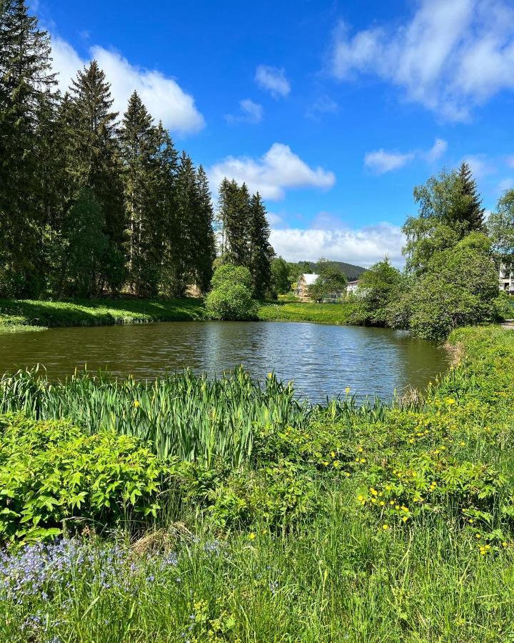 Haus Im Schwarzwald Villa Lenzkirch Ngoại thất bức ảnh